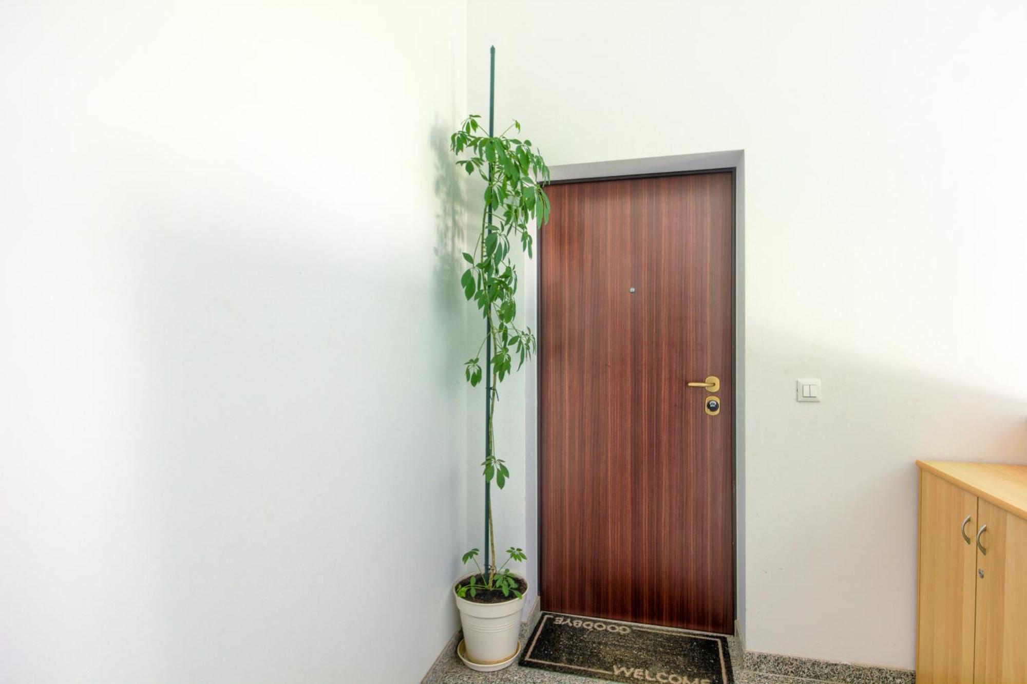 Apartments Zara Exterior photo